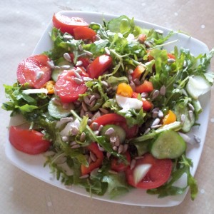 Salata verde, rucolla, castraveti, rosii, ceapa si seminte